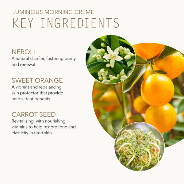 Luminous Morning Creme