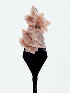 G.Tox Himalayan Salt Scalp Scrub Shampoo