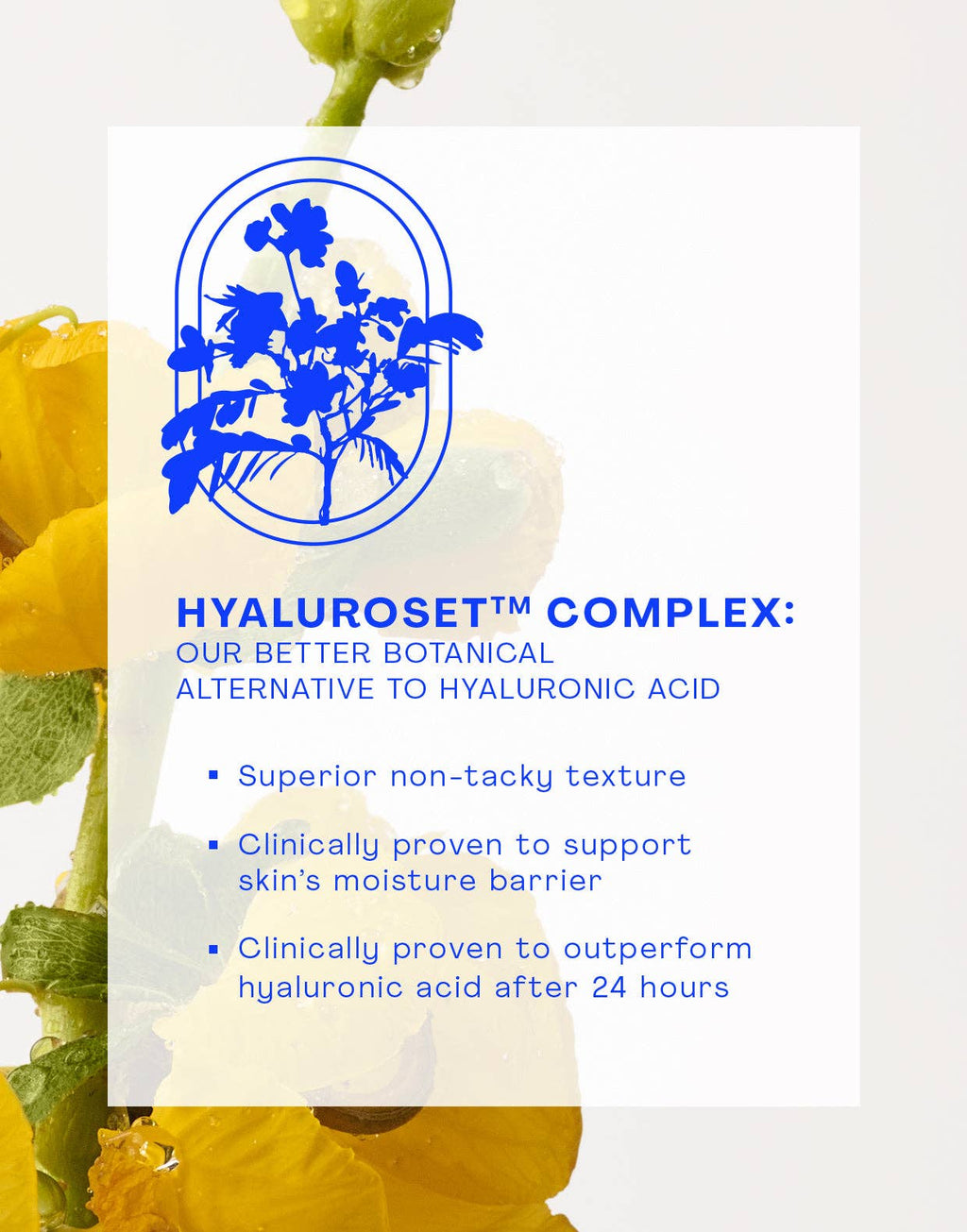 Nourishing Squalane Daily Moisturizer: 1.7 FL OZ