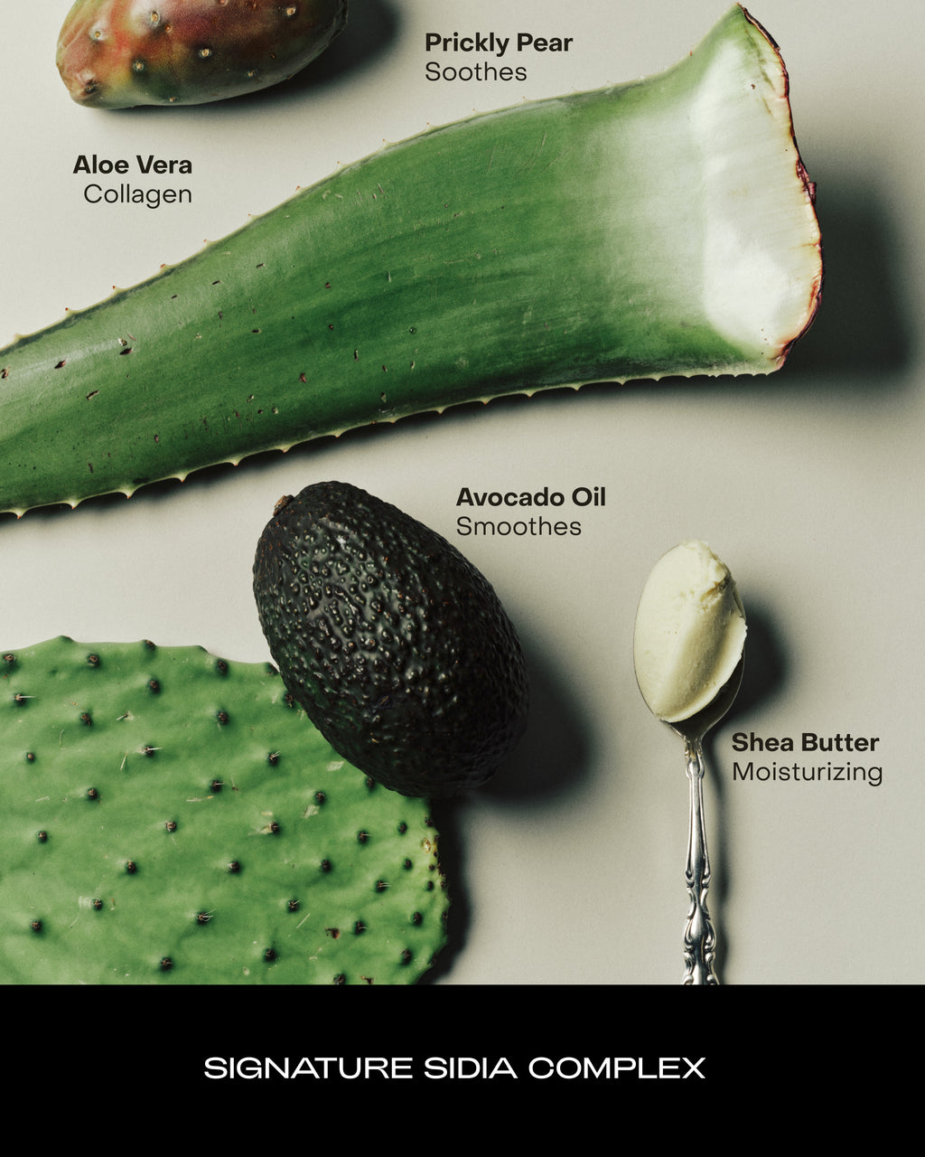 WIRED: The Body Serum