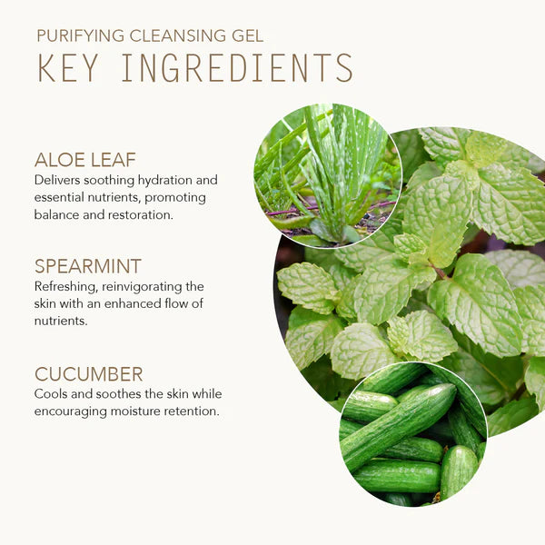 Purifying Cleansing Gel