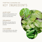 Purifying Cleansing Gel