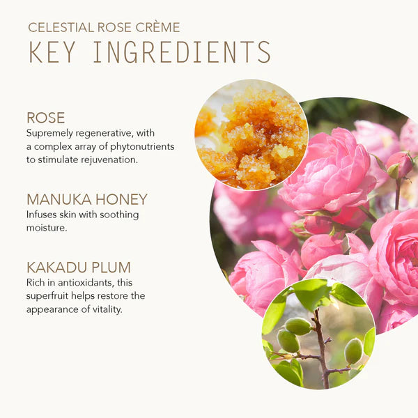 Celestial Rose Crème-Mini 0.5 oz