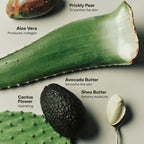 The Hand Exfoliant