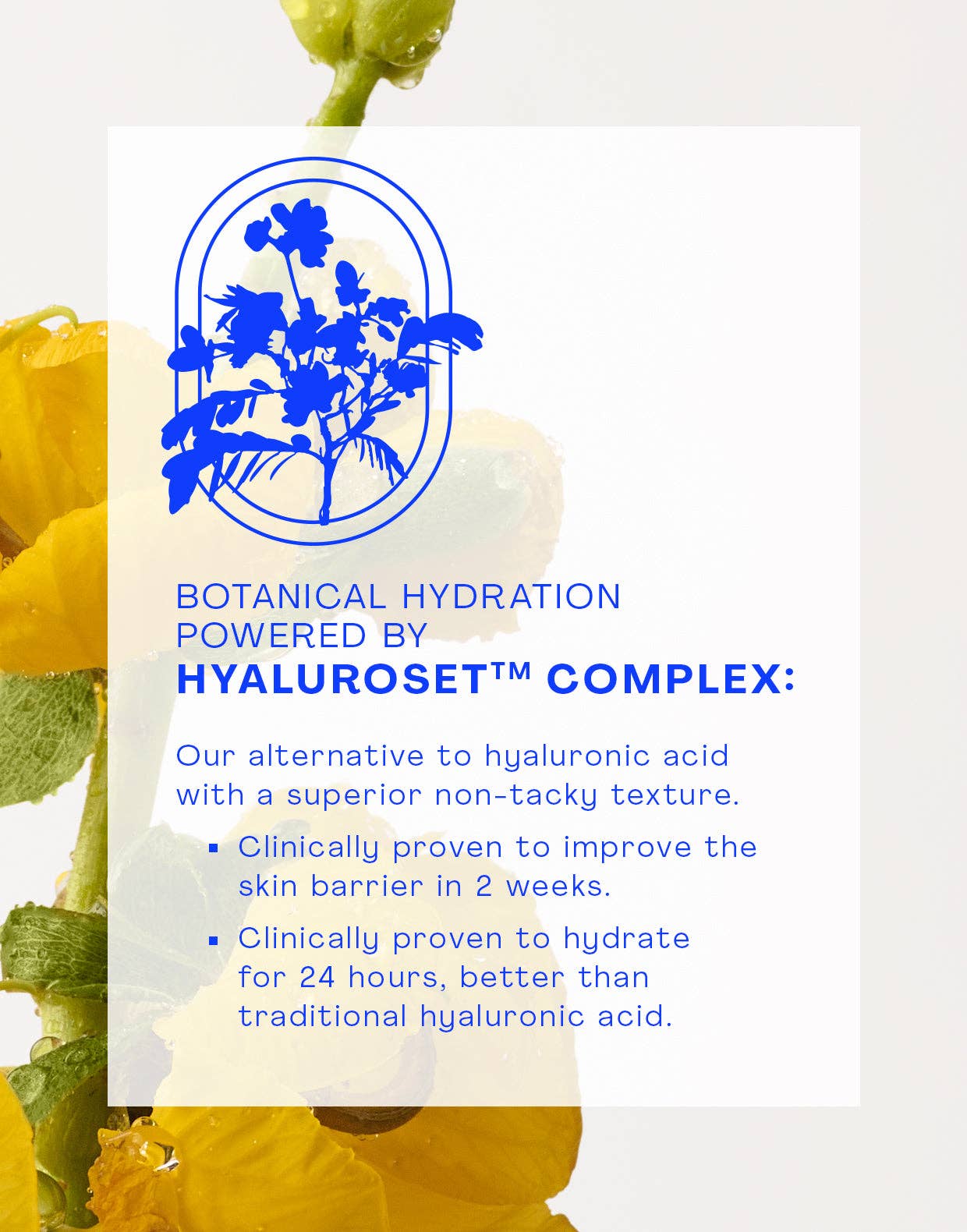 Gentle Micellar Antioxidant Cleanser