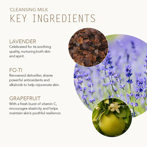 Cleansing Milk